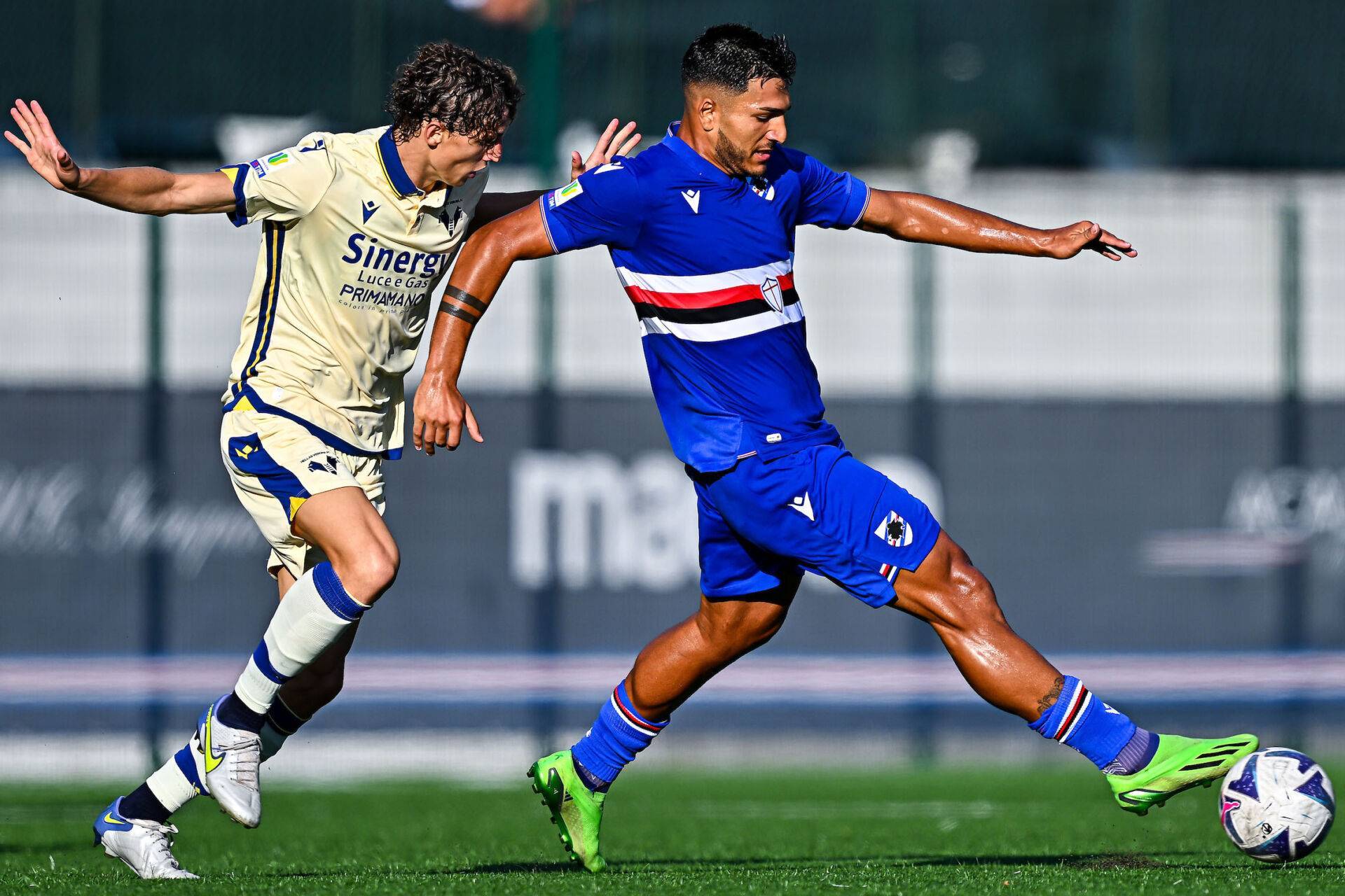 赛地聚焦——亚冠今晚热度飙升，尤文图斯再遭质疑，压力陡增，团队化学反应显著